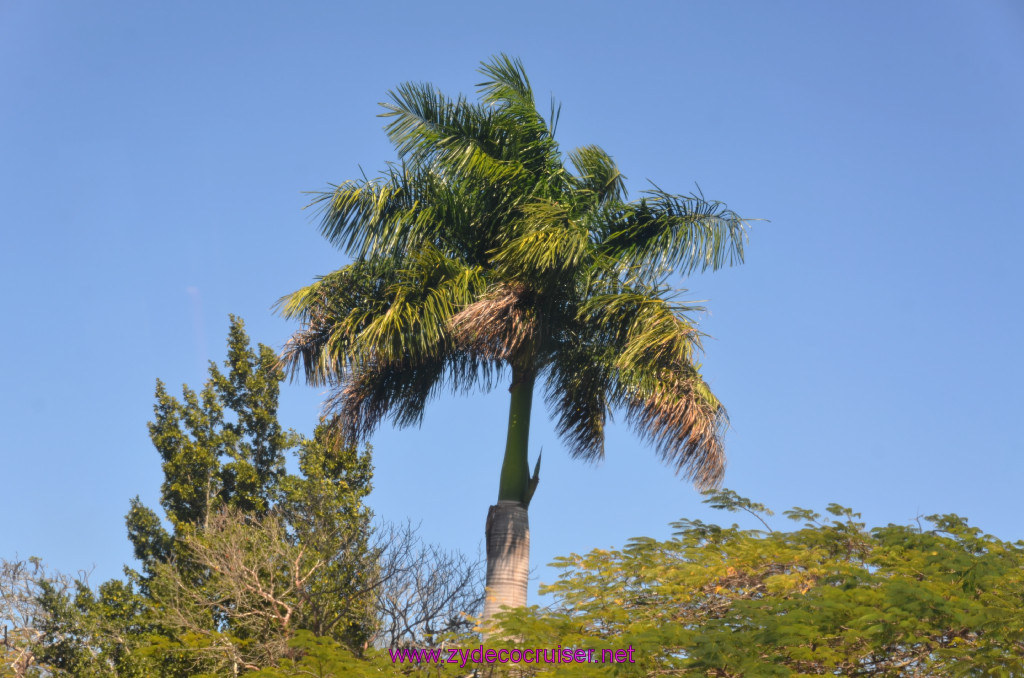 271: Carnival Elation, Progreso, Uxmal, 