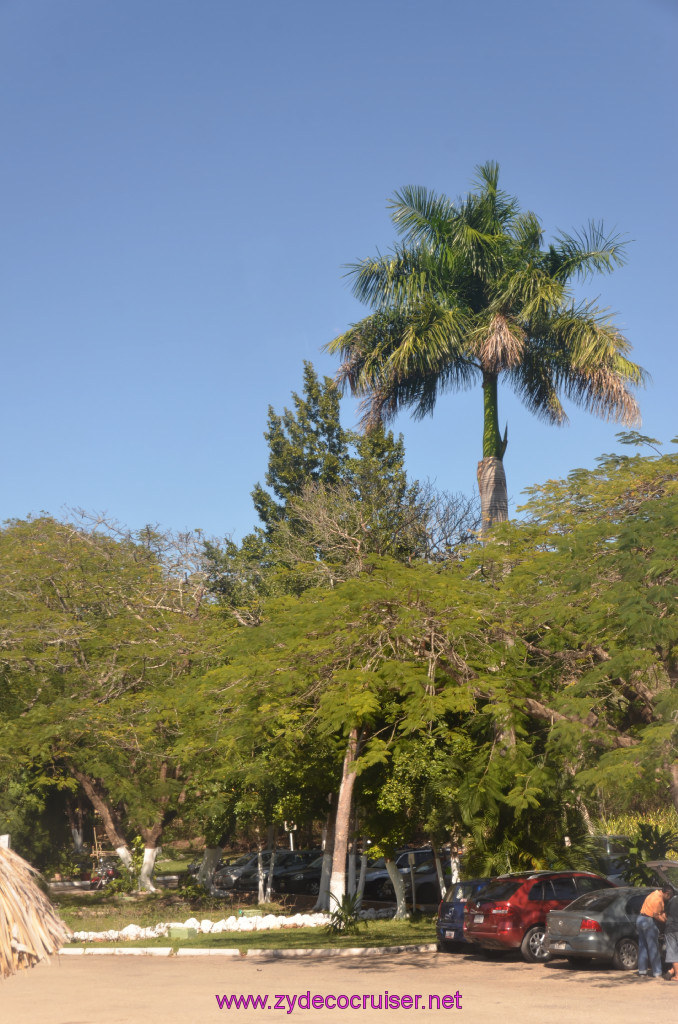 272: Carnival Elation, Progreso, Uxmal, 