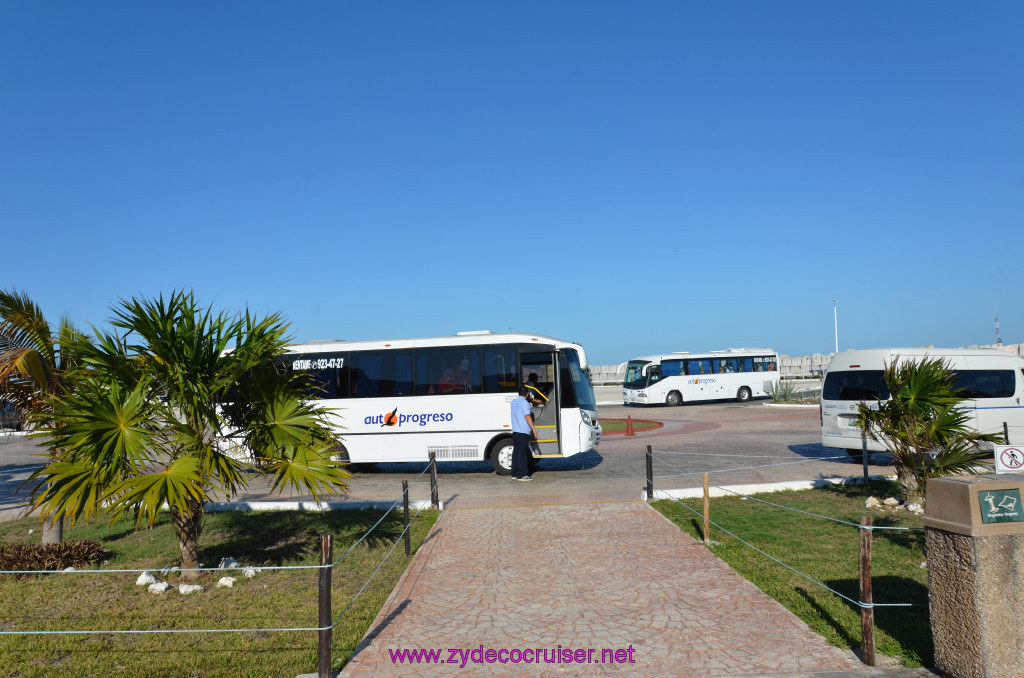 281: Carnival Elation, Progreso, 