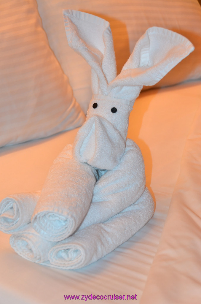 326: Carnival Elation, Progreso, Towel Animal, 