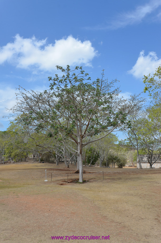 006: Carnival Elation Cruise, Progreso, Uxmal Mayan Ruins, 