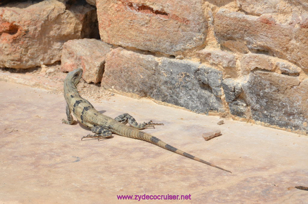 023: Carnival Elation Cruise, Progreso, Uxmal Mayan Ruins, 