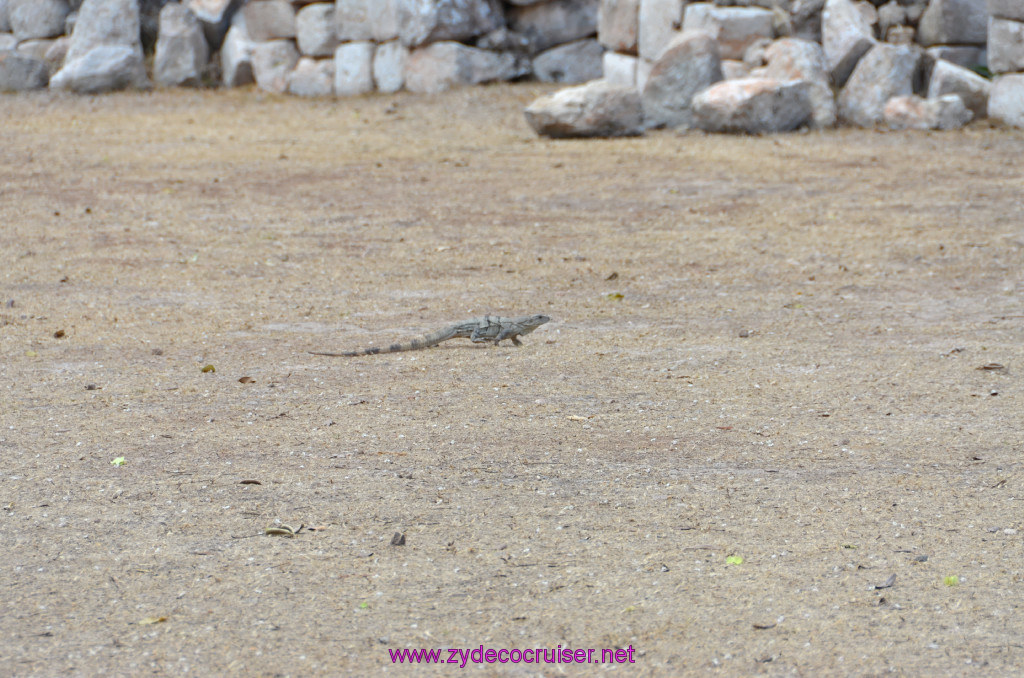 062: Carnival Elation Cruise, Progreso, Uxmal Mayan Ruins, 