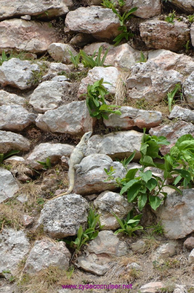 068: Carnival Elation Cruise, Progreso, Uxmal Mayan Ruins, 