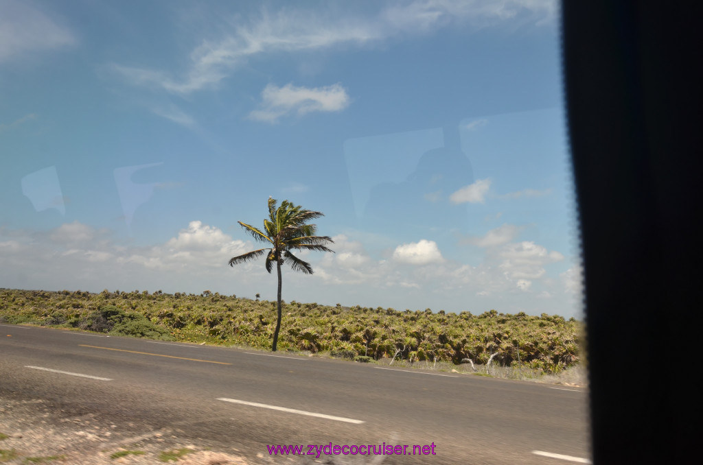 074: Carnival Elation Cruise, Cozumel, Cozumel Bar Hop, on the road again, 