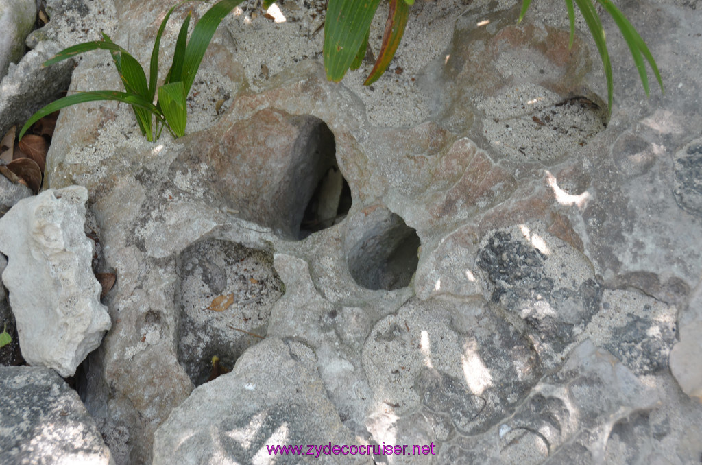 079: Carnival Elation Cruise, Cozumel, Cozumel Bar Hop, Coconuts, 