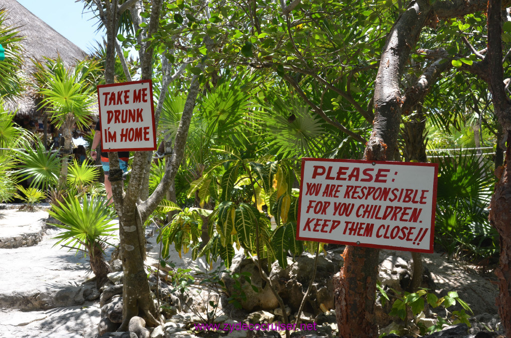 083: Carnival Elation Cruise, Cozumel, Cozumel Bar Hop, Coconuts, 