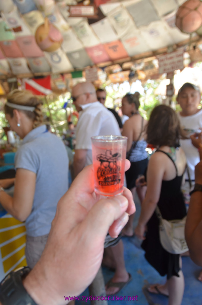 091: Carnival Elation Cruise, Cozumel, Cozumel Bar Hop, Coconuts, 