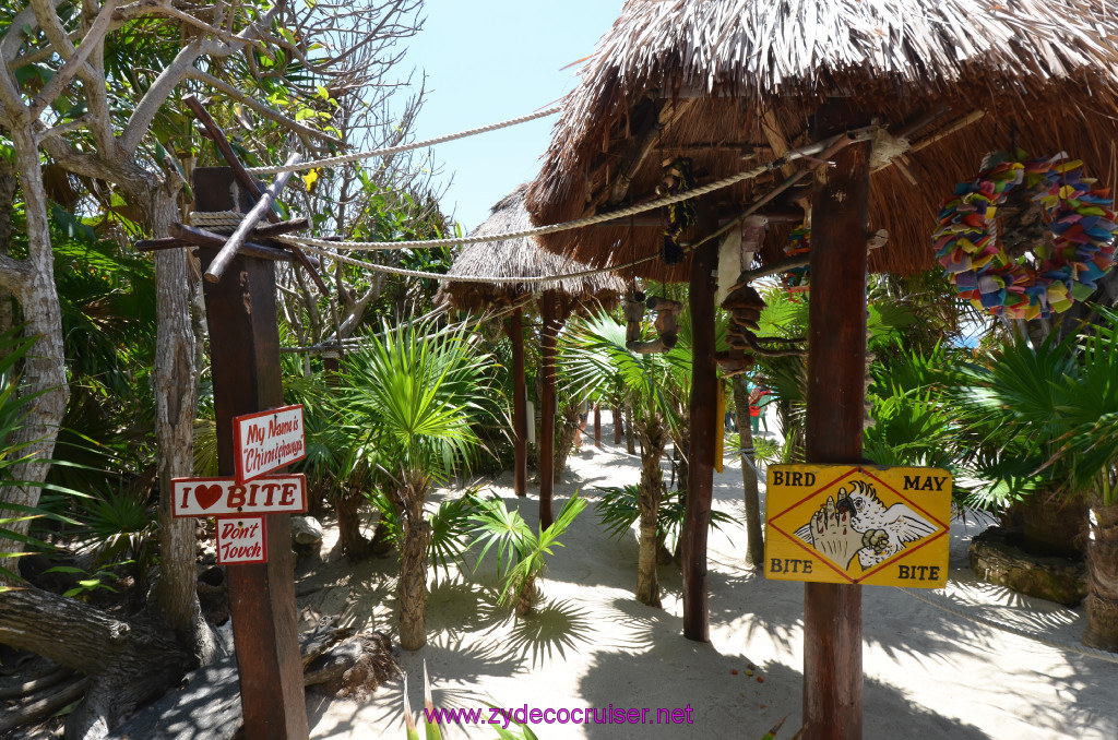 104: Carnival Elation Cruise, Cozumel, Cozumel Bar Hop, Coconuts, 