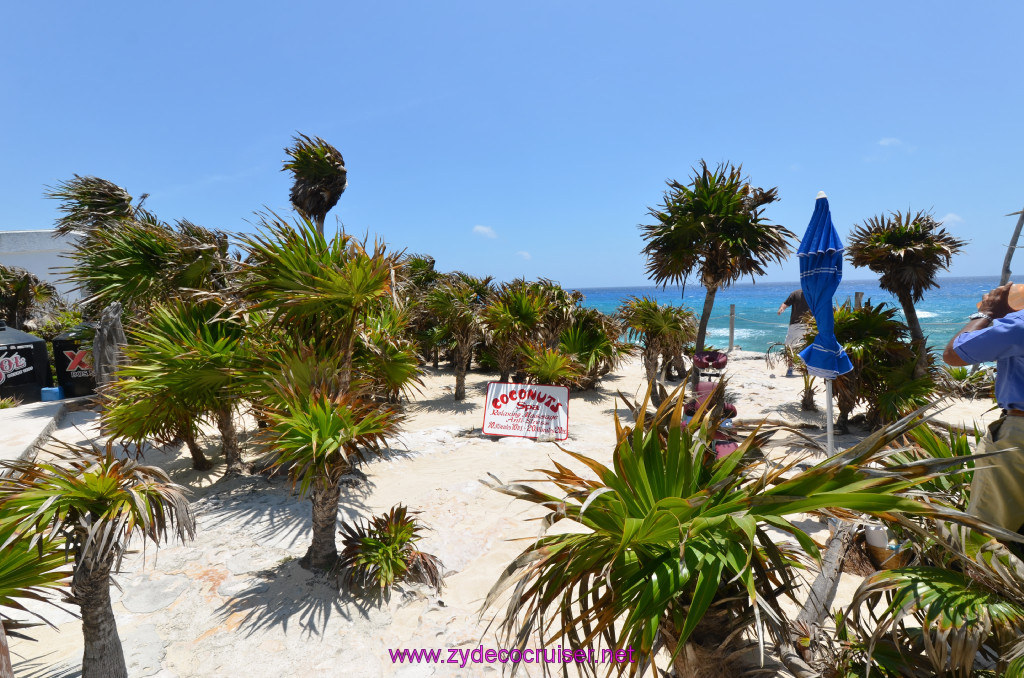 105: Carnival Elation Cruise, Cozumel, Cozumel Bar Hop, Coconuts, 