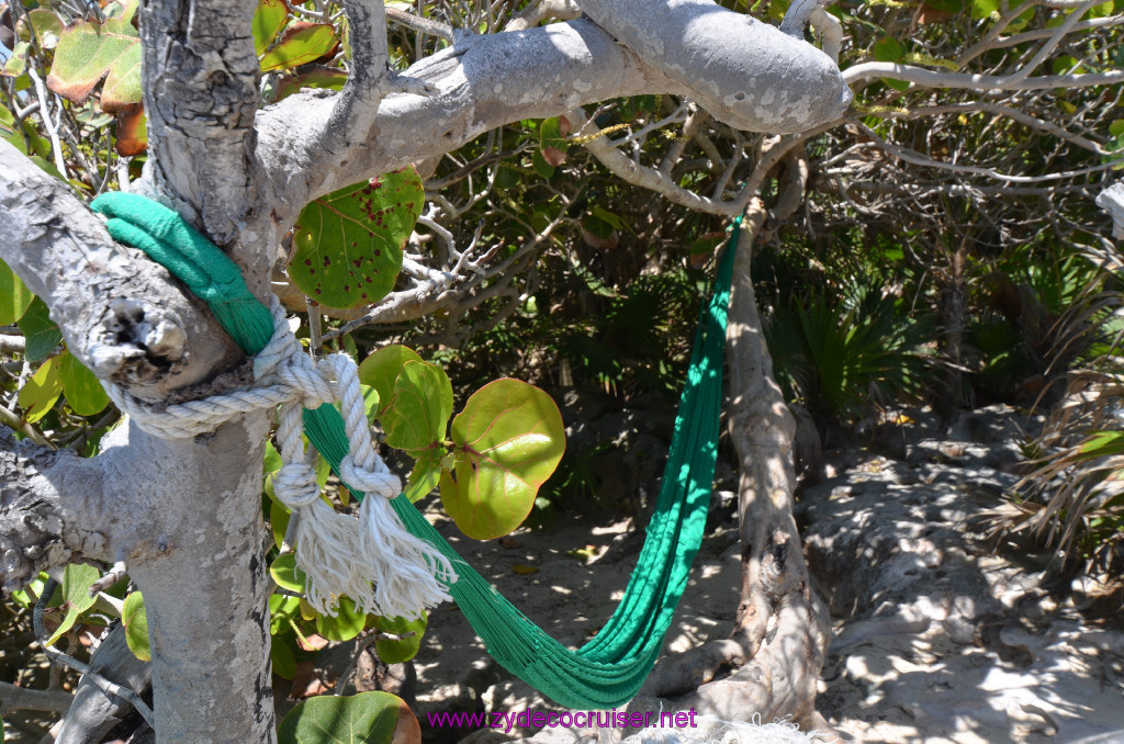 108: Carnival Elation Cruise, Cozumel, Cozumel Bar Hop, Coconuts, 