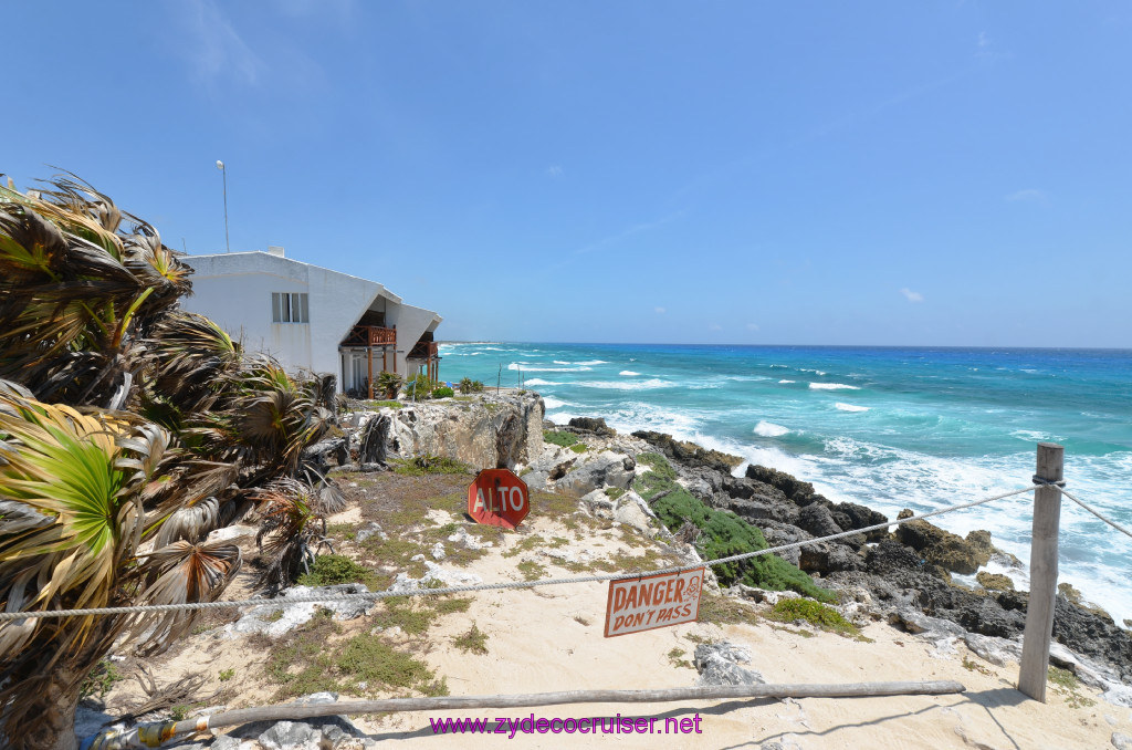 110: Carnival Elation Cruise, Cozumel, Cozumel Bar Hop, Coconuts, 