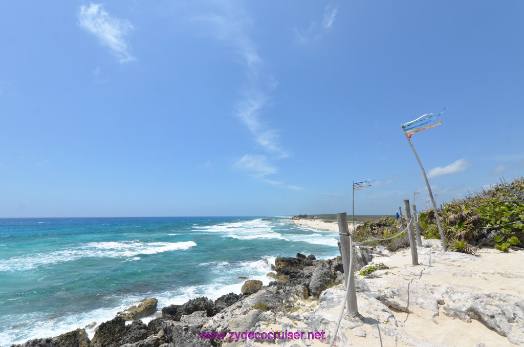 114: Carnival Elation Cruise, Cozumel, Cozumel Bar Hop, Coconuts, 