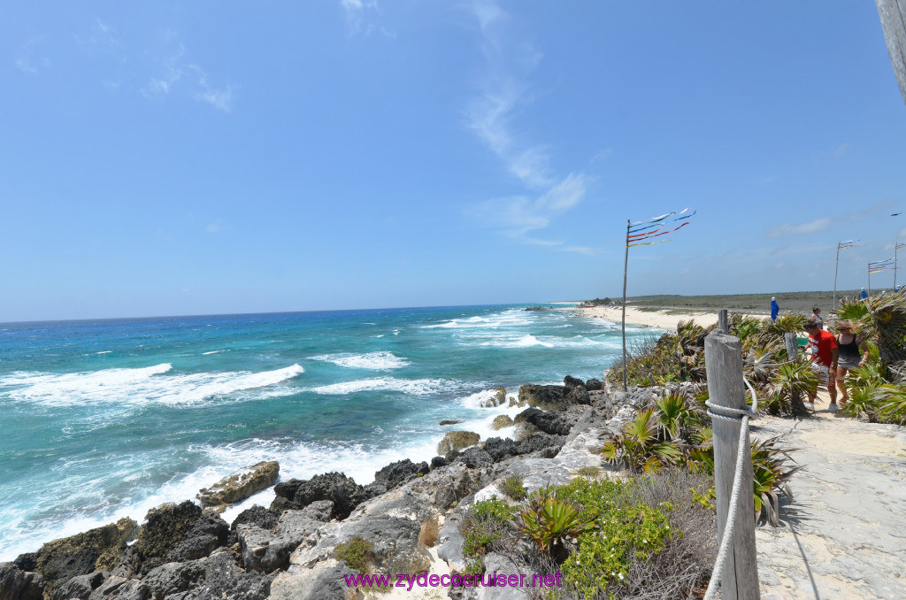 115: Carnival Elation Cruise, Cozumel, Cozumel Bar Hop, Coconuts, 