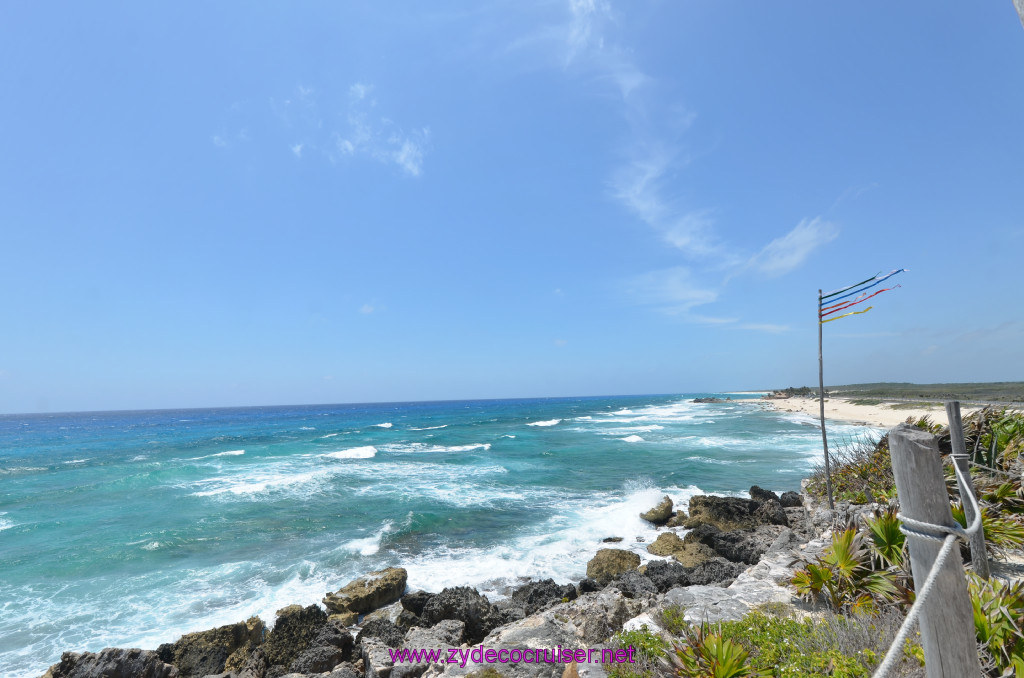 116: Carnival Elation Cruise, Cozumel, Cozumel Bar Hop, Coconuts, 