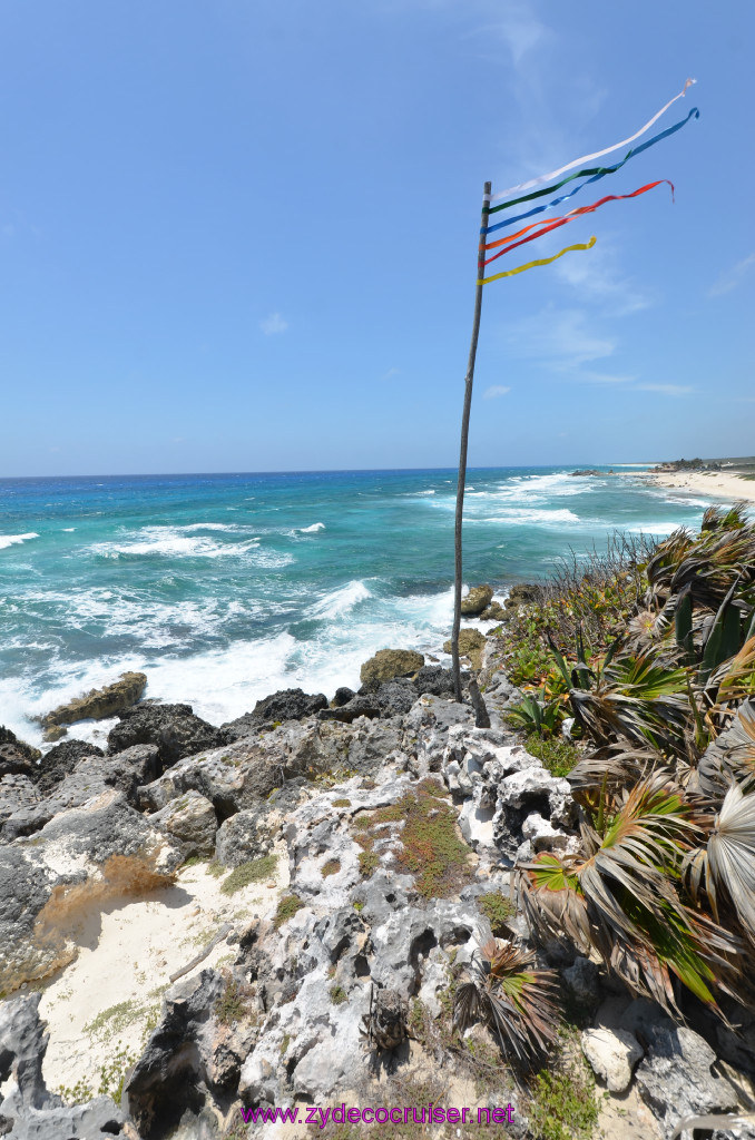 117: Carnival Elation Cruise, Cozumel, Cozumel Bar Hop, Coconuts, 