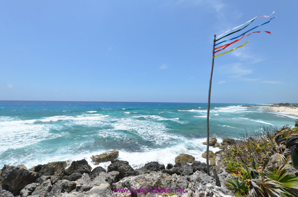 118: Carnival Elation Cruise, Cozumel, Cozumel Bar Hop, Coconuts, 