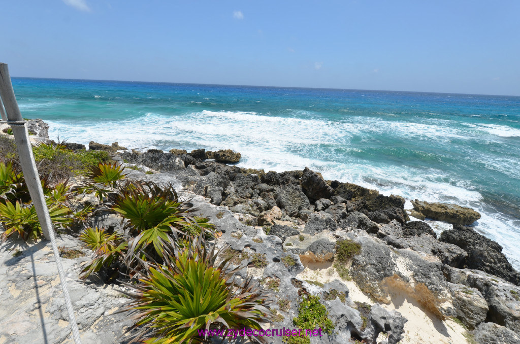 119: Carnival Elation Cruise, Cozumel, Cozumel Bar Hop, Coconuts, 