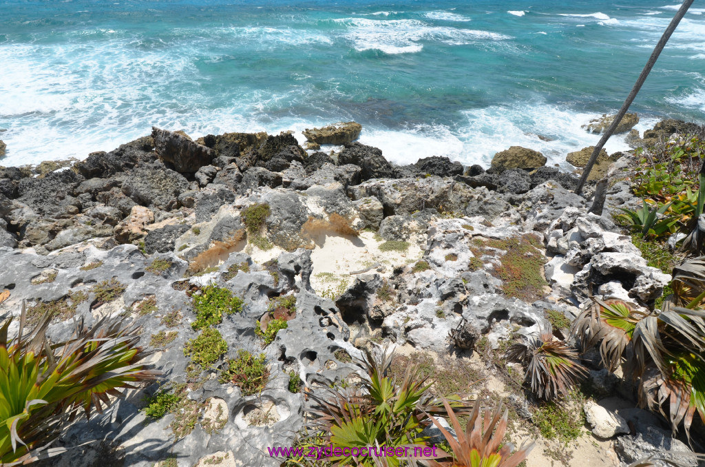 120: Carnival Elation Cruise, Cozumel, Cozumel Bar Hop, Coconuts, 