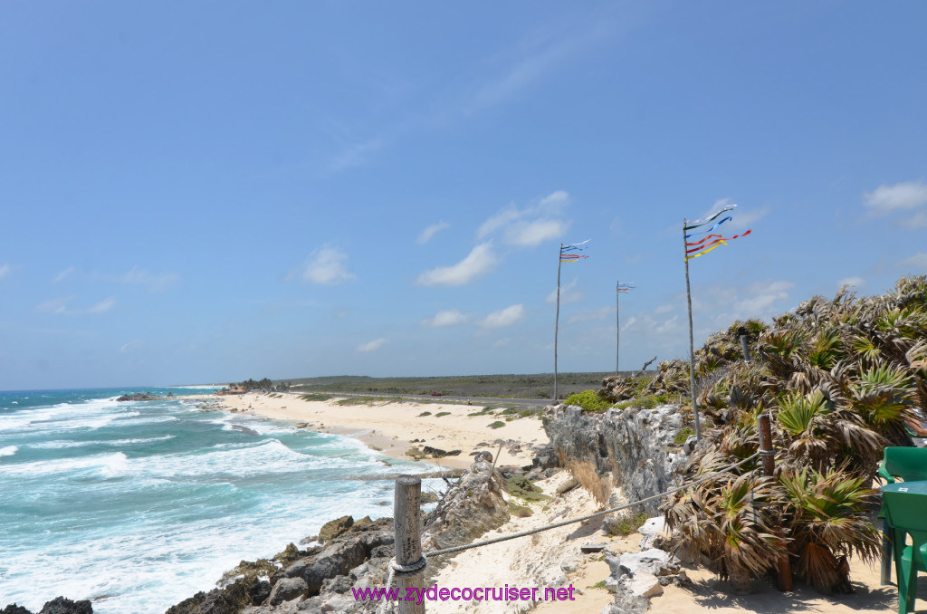 125: Carnival Elation Cruise, Cozumel, Cozumel Bar Hop, Coconuts, 