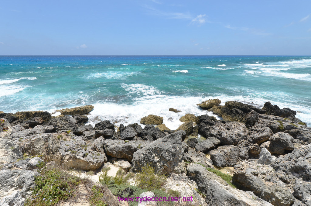 126: Carnival Elation Cruise, Cozumel, Cozumel Bar Hop, Coconuts, 