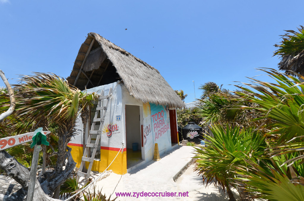 130: Carnival Elation Cruise, Cozumel, Cozumel Bar Hop, Coconuts, 