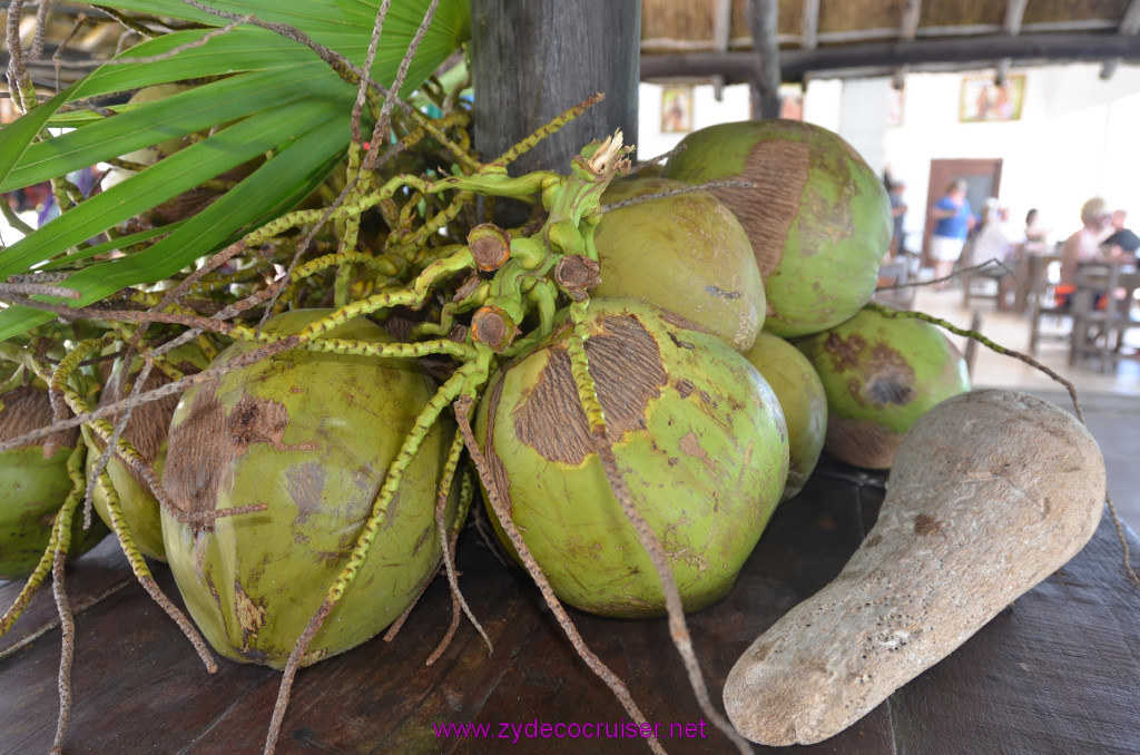 178: Carnival Elation Cruise, Cozumel, Cozumel Bar Hop, Playa Bonita, 