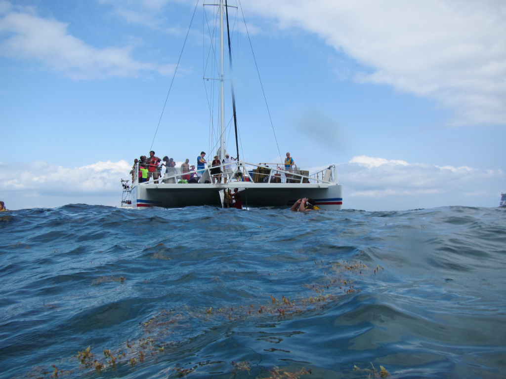 006: Carnival Elation Cruise, Cozumel, Deluxe Beach Catamaran Sail and Snorkel,