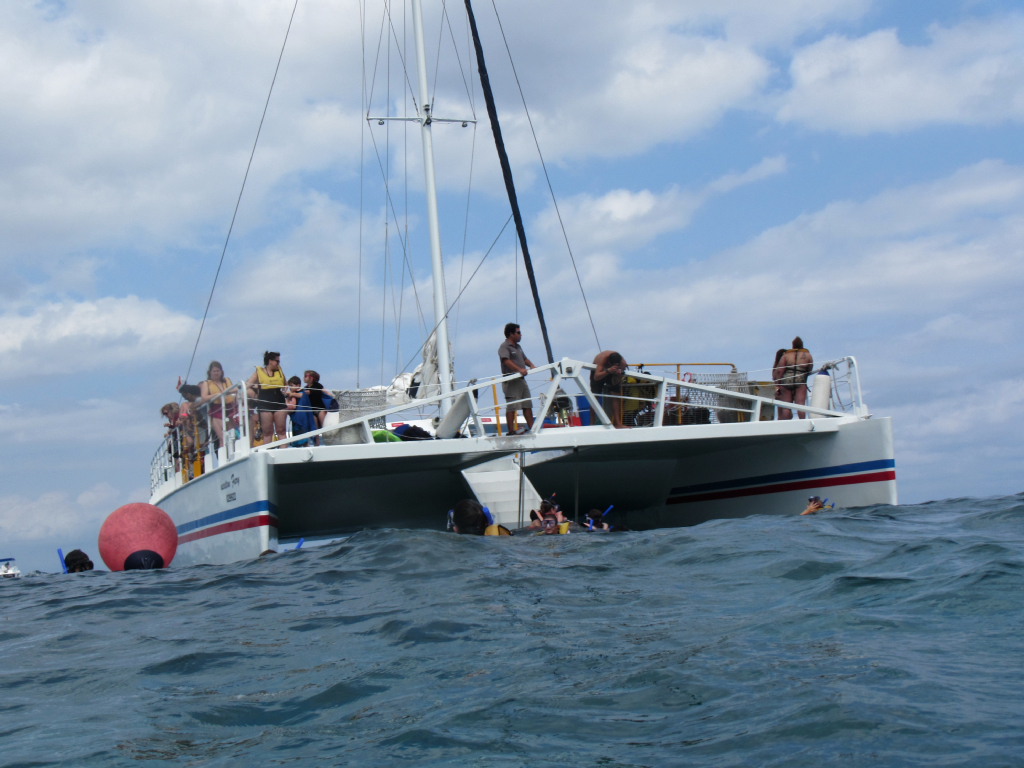 037: Carnival Elation Cruise, Cozumel, Deluxe Beach Catamaran Sail and Snorkel,