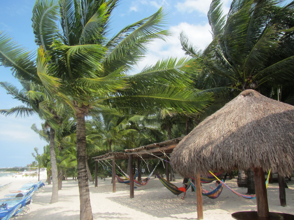 058: Carnival Elation Cruise, Cozumel, Deluxe Beach Catamaran Sail and Snorkel,