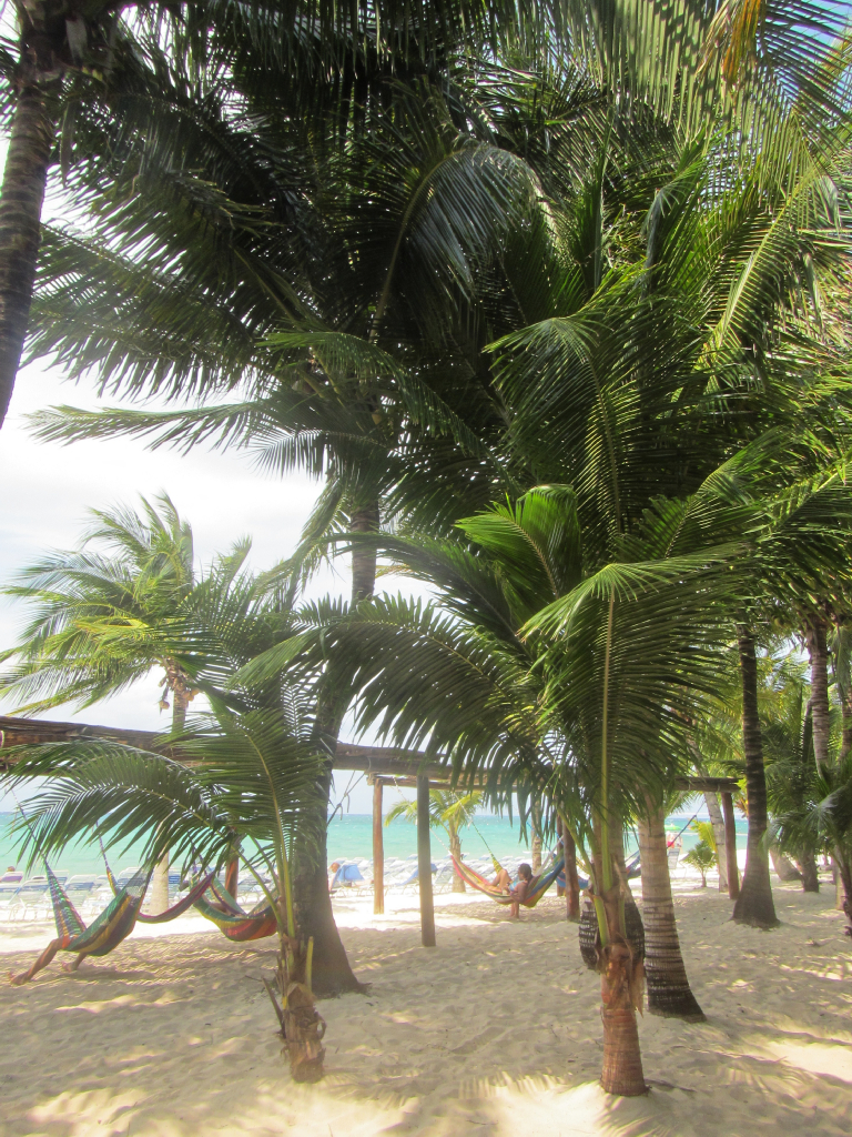 065: Carnival Elation Cruise, Cozumel, Deluxe Beach Catamaran Sail and Snorkel,