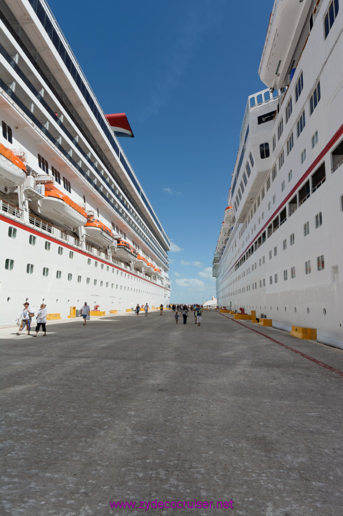 084: Carnival Elation Cruise, Progreso