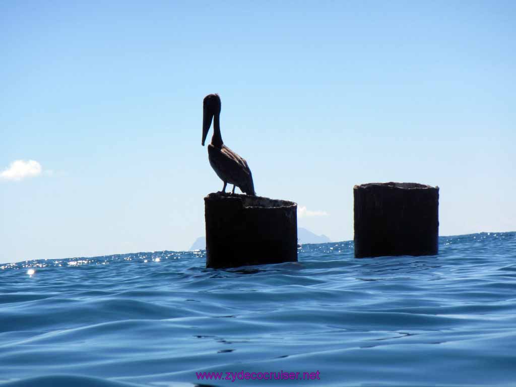 066: Carnival Freedom Reposition Cruise, St Maarten, 