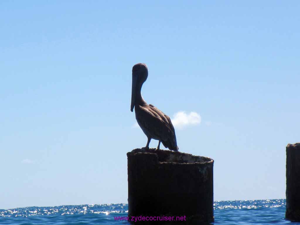 067: Carnival Freedom Reposition Cruise, St Maarten, 