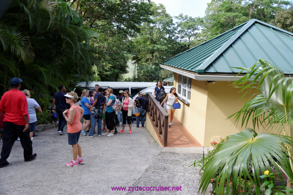 050: Carnival Freedom Reposition Cruise, St Lucia, Rain Forest Aerial Tram Adventure, 