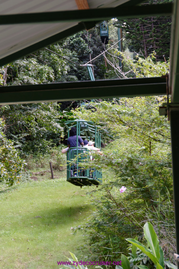 060: Carnival Freedom Reposition Cruise, St Lucia, Rain Forest Aerial Tram Adventure, 