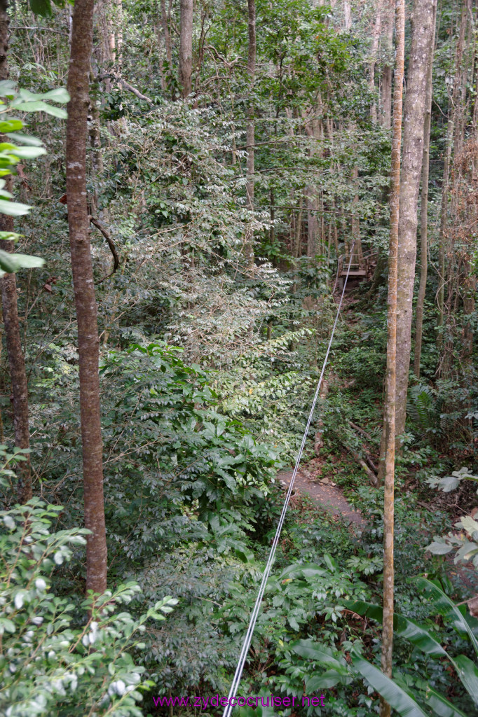 075: Carnival Freedom Reposition Cruise, St Lucia, Rain Forest Aerial Tram Adventure, 