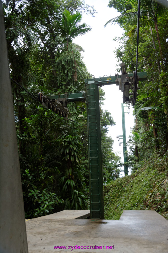 126: Carnival Freedom Reposition Cruise, St Lucia, Rain Forest Aerial Tram Adventure, 