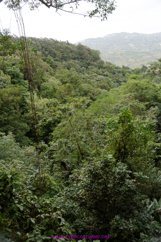 162: Carnival Freedom Reposition Cruise, St Lucia, Rain Forest Aerial Tram Adventure, 