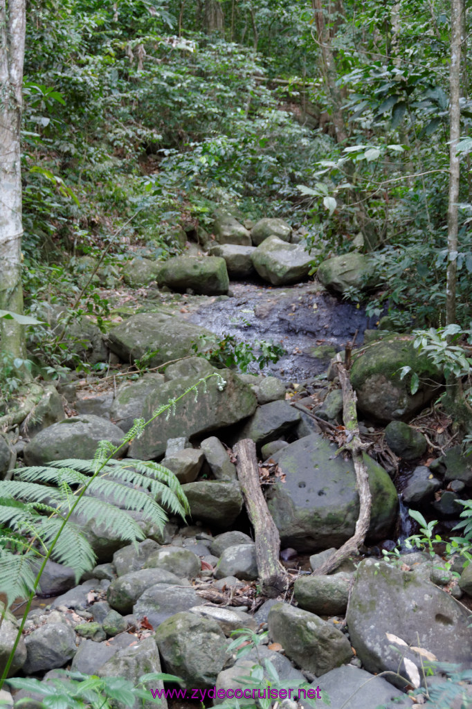 219: Carnival Freedom Reposition Cruise, St Lucia, Rain Forest Aerial Tram Adventure, 