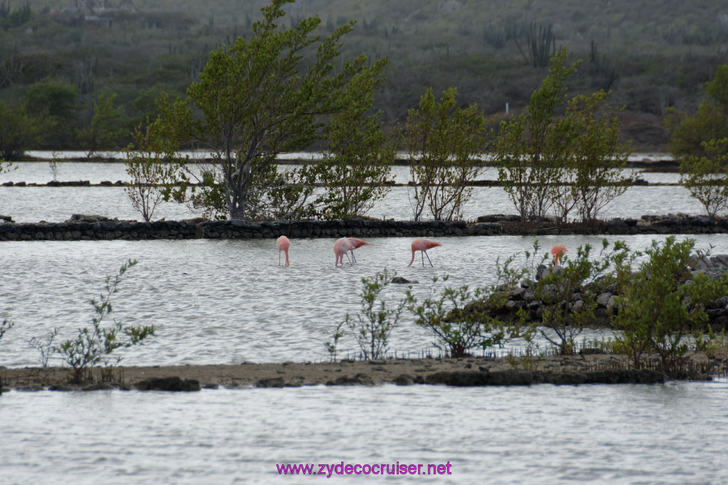 165: Carnival Freedom Reposition Cruise, Curacao, Private tour arranged with Petertrips