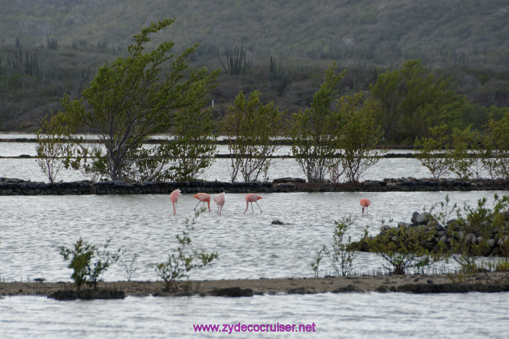 167: Carnival Freedom Reposition Cruise, Curacao, Private tour arranged with Petertrips