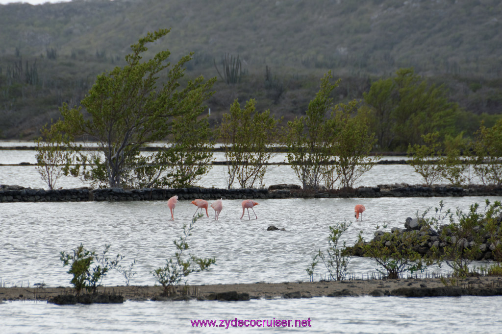 168: Carnival Freedom Reposition Cruise, Curacao, Private tour arranged with Petertrips