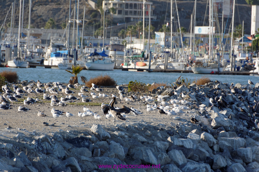 098: Carnival Imagination, Ensenada, 