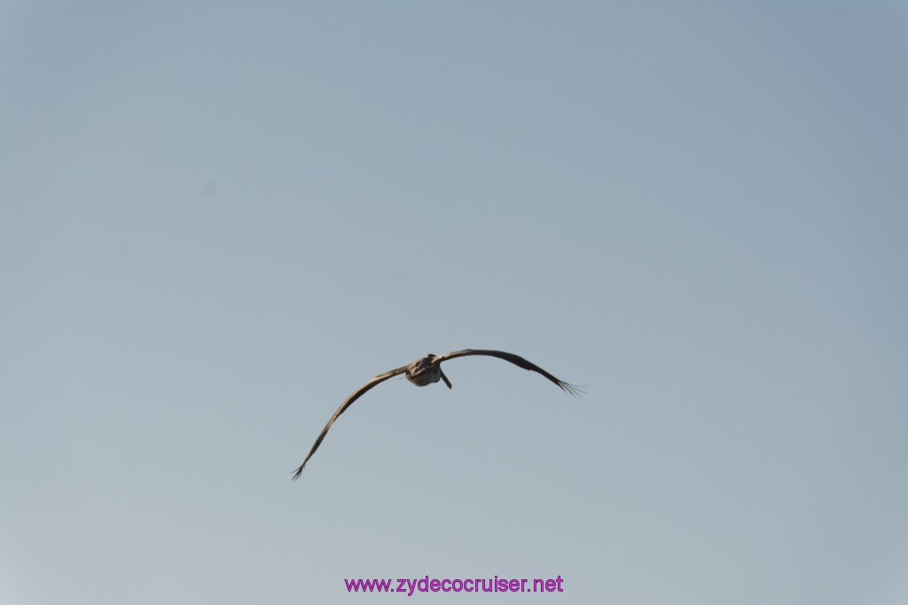 100: Carnival Imagination, Ensenada, 