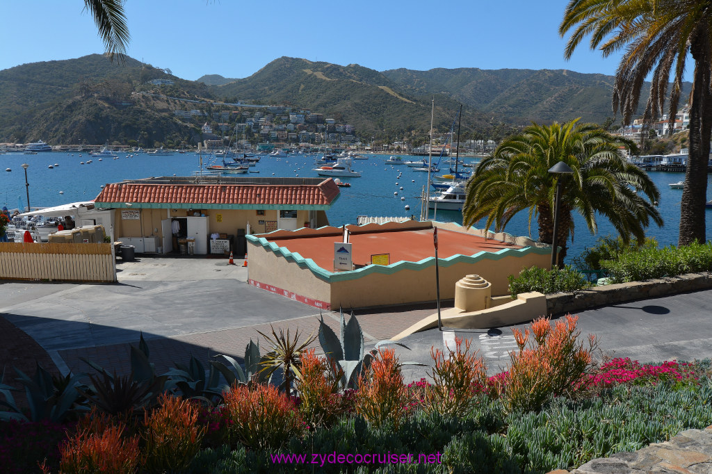 103: Carnival Imagination, Catalina, 