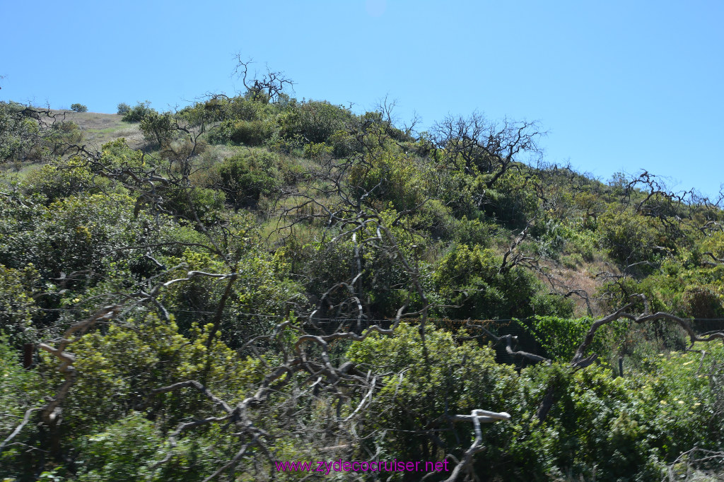 302: Carnival Imagination, Catalina, East End Adventure by Hummer, 