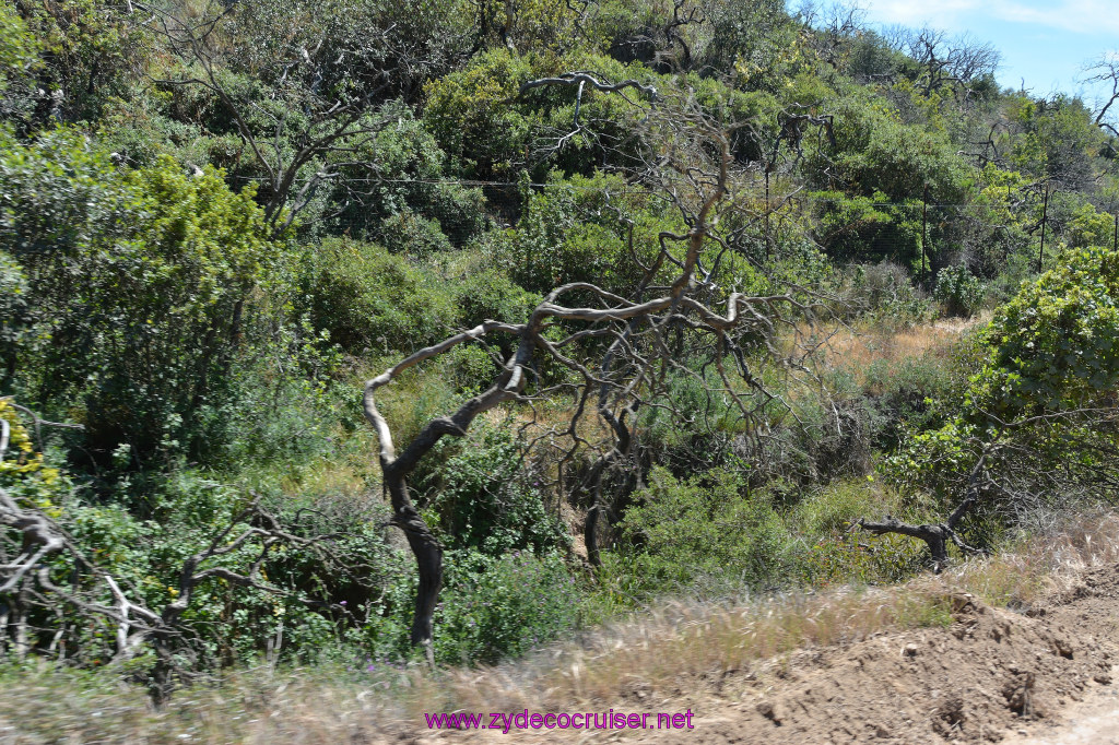 303: Carnival Imagination, Catalina, East End Adventure by Hummer, 