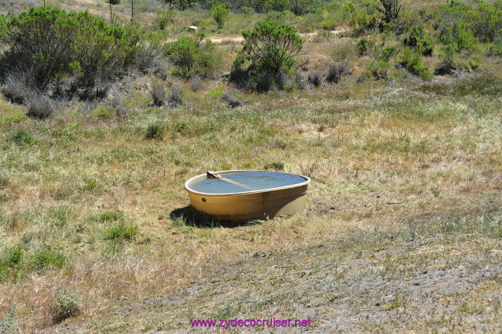 305: Carnival Imagination, Catalina, East End Adventure by Hummer, 