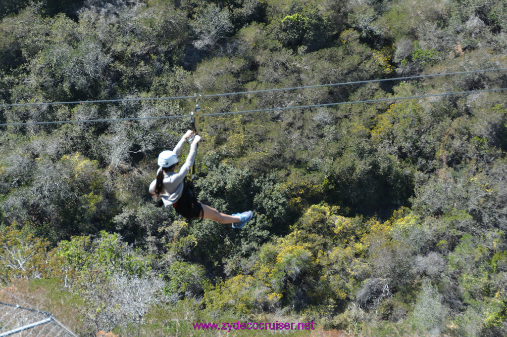 344: Carnival Imagination, Catalina, East End Adventure by Hummer, Zipline